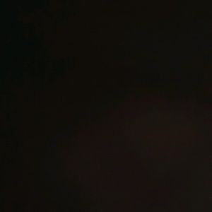 Meet your Posher, Harrison